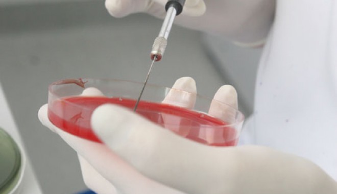 ANALIZE MEDICALE GRATUITE ÎN CONSTANȚA - analizemedicalegrauite-1357758791.jpg