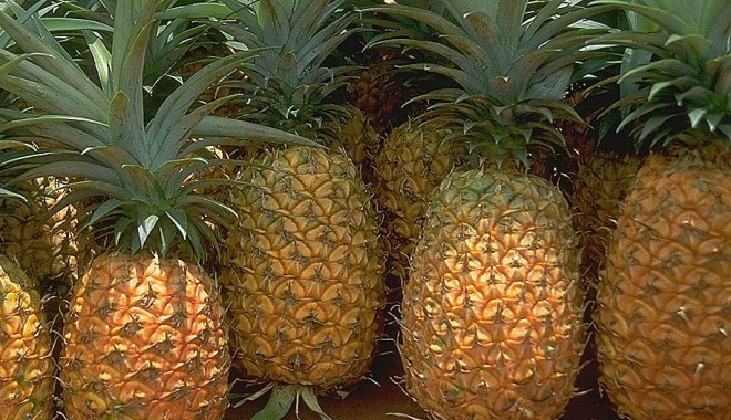Ananasul întărește oasele - ananas2-1325110416.jpg