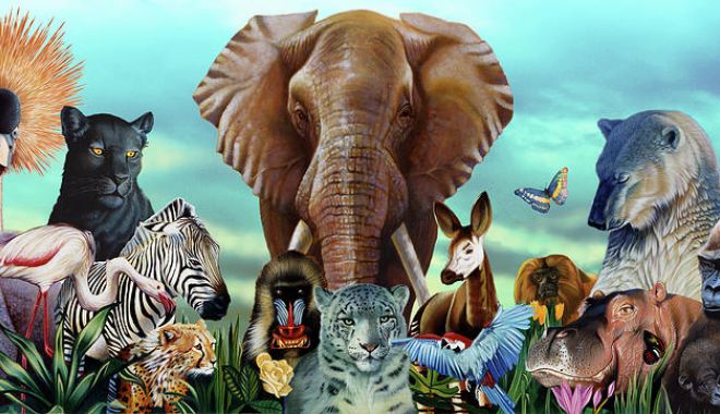 Aproape jumătate dintre speciile de animale de pe mapamond se află în declin - animale-1685287781.jpg