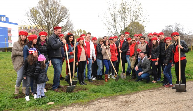 Tinerii din PSD Constanța au plantat 250 de salcâmi - ant9319-1366025800.jpg