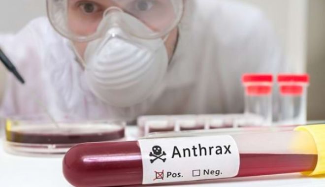 Trei angajaţi ai unei ferme de bovine sunt internaţi în spitalul de Boli Infecţioase, cu suspiciune de antrax - antraxsimptometratament-1688986160.jpg