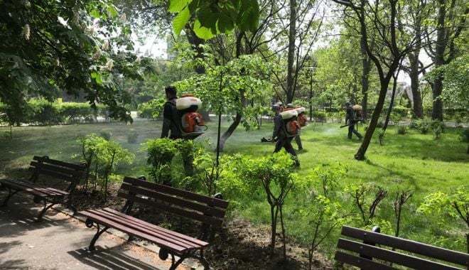 Apel către constănţeni pentru a face dezinsecţie în subsolul blocurilor - apellaconstanteni-1620238072.jpg
