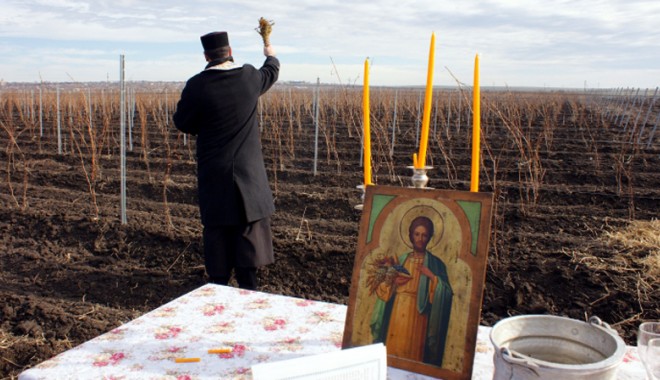 APIA va susține acordarea subvențiilor agricole pentru instituțiile de cult - apia-1396631412.jpg