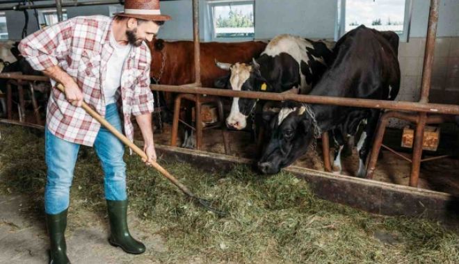 APIA primește cereri de solicitare a ajutorului de stat pentru crescătorii de bovine - apia-1689588910.jpg