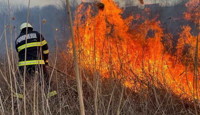APIA: „Fermierii nu mai au voie să incendieze miriştile, vegetaţia uscată şi resturile vegetale pe terenurile arabile”