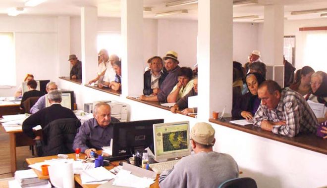 APIA eliberează adeverințe pentru fermierii beneficiari ai Campaniei 2019 - apiaadeverinte-1561577488.jpg