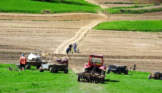 În 16 octombrie încep plăţile în avans pentru fermieri - apiacuantumplatidirectesursasalu-1601909743.jpg