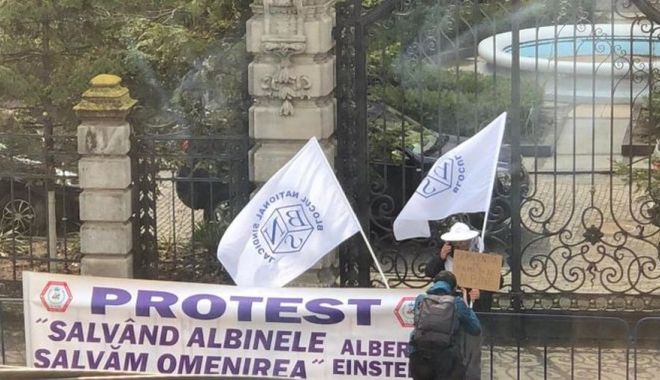 Apicultorii au protestat în faţa Ministerului Agriculturii şi a Parlamentului - apicultoriiauprotestat-1616696077.jpg
