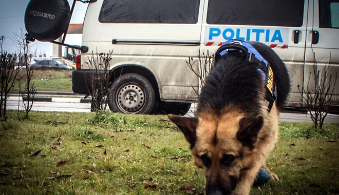 A plecat să-și cumpere dulciuri, dar a dispărut - aplecat-1480957628.jpg