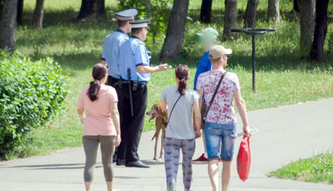A plouat cu amenzi, la Constanța! Polițiștii locali nu au iertat pe nimeni - aplouatcuamenzi-1529941325.jpg