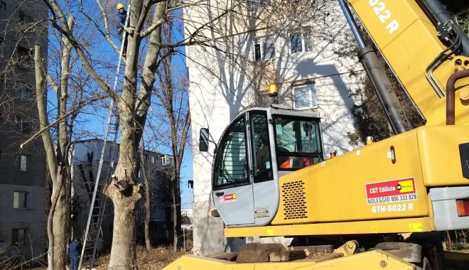 Arborii din Constanța, toaletați și corectați de angajații de la Spații Verzi - arborii-1580333013.jpg