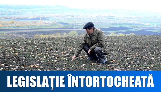 Îl poate obliga arendașul pe proprietar să-i vândă lui pământul? - arendaterenurilegislatie-1359713487.jpg