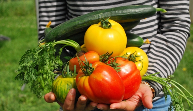 Argumente imbatabile care te vor convinge să cultivi propriile vegetale - argumenteimbatabile-1497010831.jpg