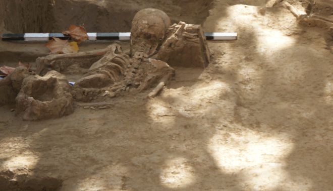 Arheologul Paul Nicorescu a pus umărul la săpăturile arheologice din Dobrogea - arheologul-1625760118.jpg