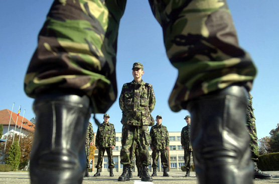 Ordine și disciplină în armată - armata-1361713854.jpg