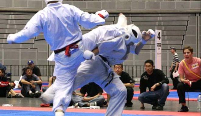 Arte marțiale: Ediția a VI-a a Cupei Internaționale de Karate Kyokushinkai are loc la Sibiu - artemartiale-1416388170.jpg