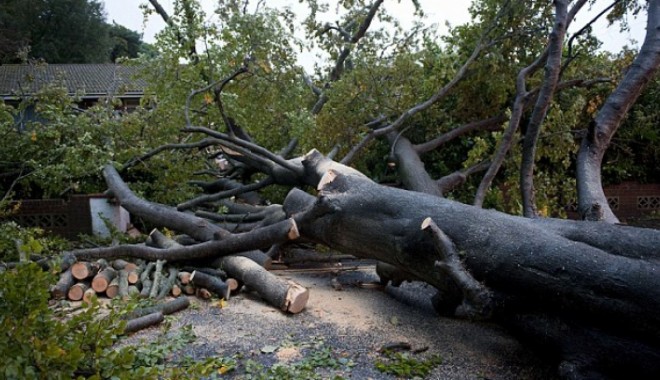 Vremea rea din Anglia face victime. O femeie a murit strivită de un copac - article0155beec2000005dc200634x3-1353846660.jpg