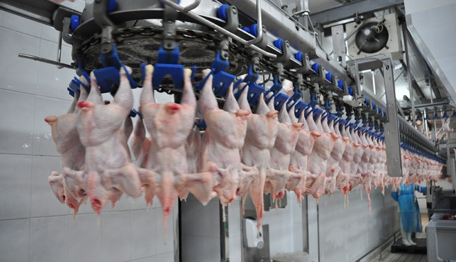 A scăzut producția de carne - ascazutproductiadecarne1004-1491813335.jpg