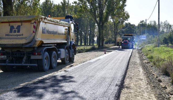 Drumari orbi! Au turnat asfalt peste un câine mort pe o şosea în construcție