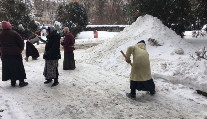 Galerie foto. Primăria Constanța a scos asistații social la dat zăpada din curtea Spitalului Județean - asistatisocial3-1484137200.jpg