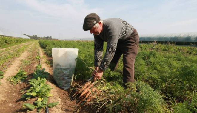 Atenție fermieri! A început campania de a cererilor unice de plată - atentiefermieri-1428568644.jpg