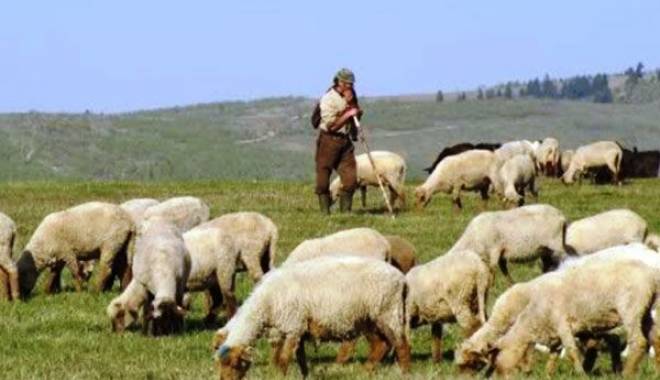 ANUNȚ IMPORTANT / Se întâmplă din 2016 - atentiefermieri-1436355159.jpg
