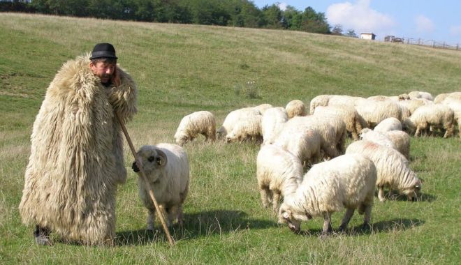 Atenție fermieri! Iată ce plăți se efectuează! - atentiefermieriiataceplatiseefec-1530888401.jpg