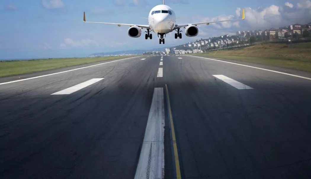 Un avion cu destinația Cluj a aterizat de urgență după ce a lovit un stol de păsări