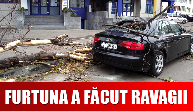 DEZASTRU. Audi, distrus de un copac căzut pe strada Traian - GALERIE FOTO - audicopac-1354524570.jpg