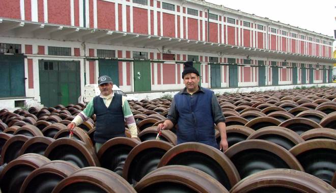 Au dispărut 15.000 de locuri de muncă în portul Constanța - audisaprut15000locurimunca-1437745065.jpg