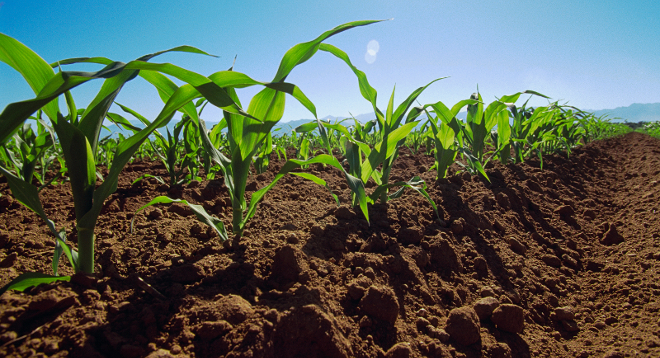 Au fost aprobate normele tehnice pentru registrul agricol - aufostaprobatenormele-1429018426.jpg