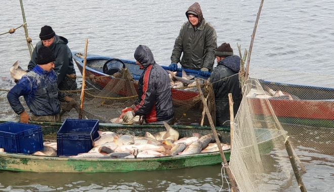 Au fost propuse cotele de pescuit din Mediterana și Marea Neagră, pentru 2023