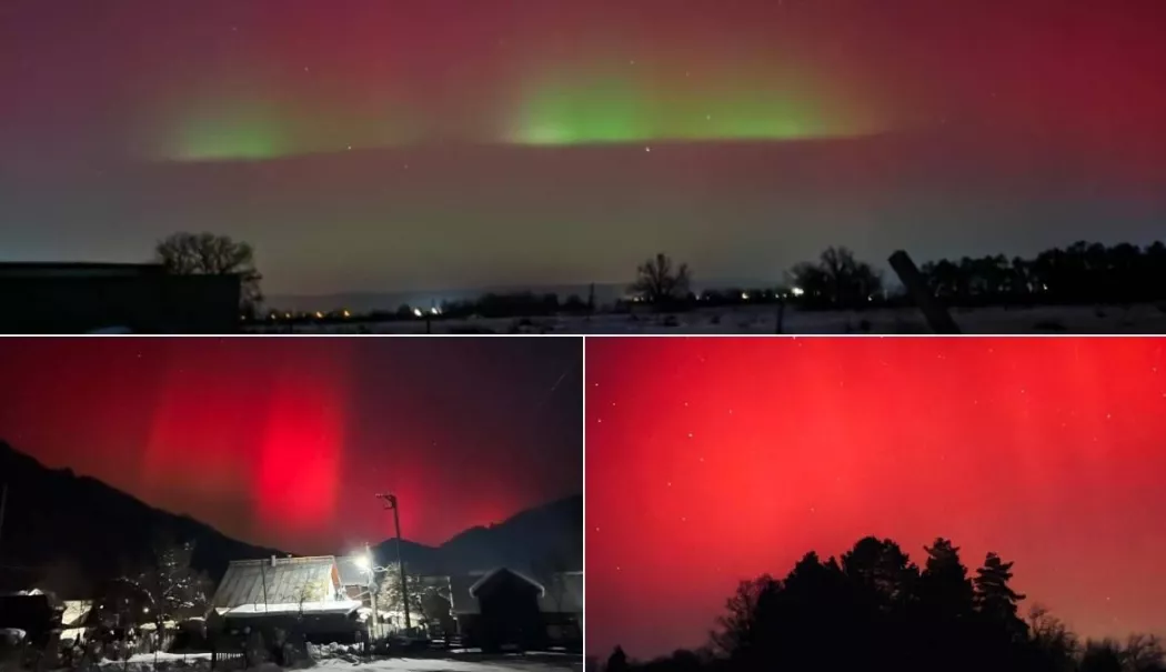 Spectacol de culori pe cerul României, după furtuna solară - aurora-1768895309.webp