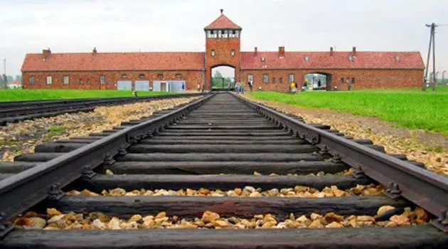 80 de ani de la eliberarea lagărului de concentrare Auschwitz-Birkenau. România, reprezentată la ceremonie de ministrul Natalia Intotero