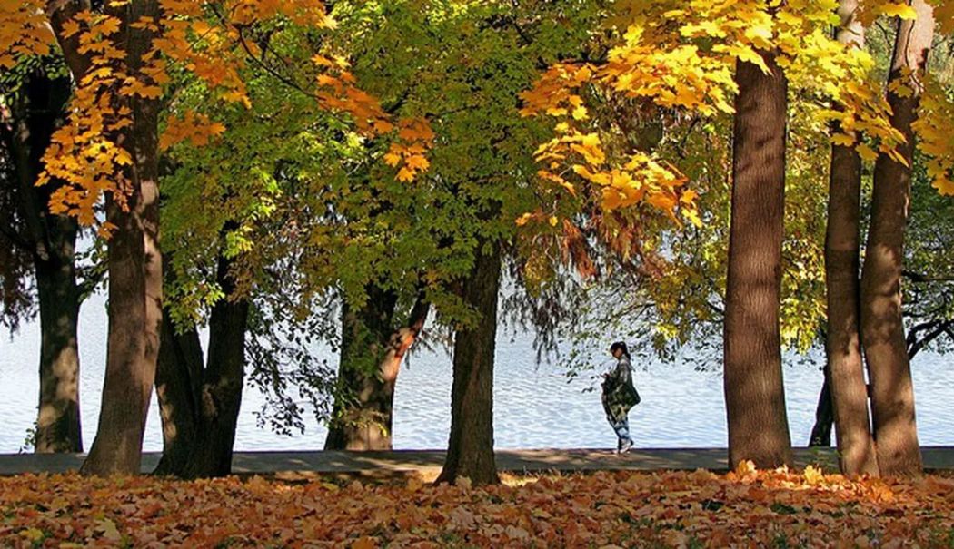 Vreme neobișnuit de caldă pentru noiembrie. ANM spune când se răcește - autumnlandscape1021513640-1762073950.jpg