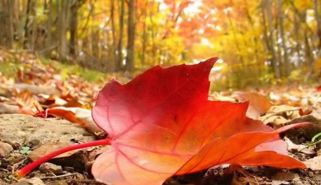 Toamnă cu temperaturi record! Când revin ploile, furtunile și gradele puține - avenittoamna730x547-1571822480.jpg
