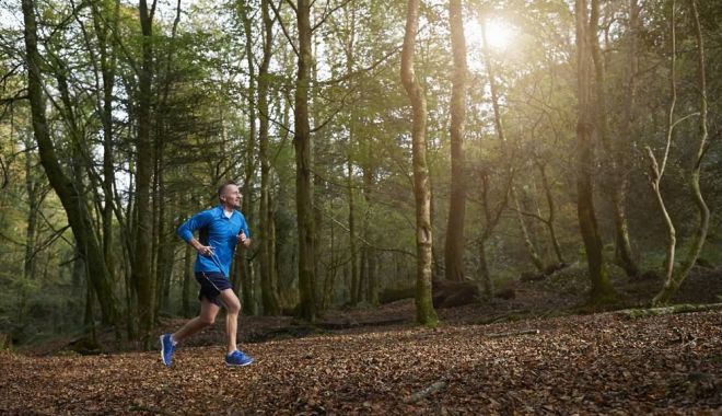 Avocații în pădure - avocatii-1591359037.jpg
