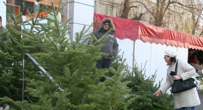 Crăciunul aduce în piețele constănțene brazi frumoși, dar scumpi - b182dcf1b0a650c56d1c286730126945.jpg