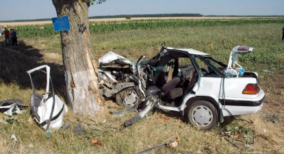 Copacii de pe marginea șoselelor - 