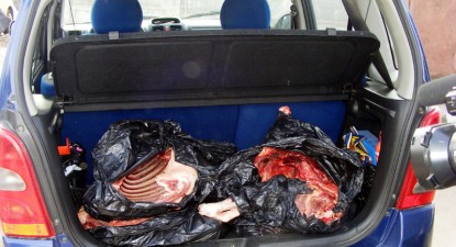 Prinși cu carnea de mistreț  în portbagaj - b4c646c0b4dda9706d2cfc5a02945c49.jpg