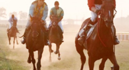 Iubitorii de sport pot face echitație la Herghelia de la Mangalia - b51c6cd35bb3d7e8c54aa6a571379d8f.jpg