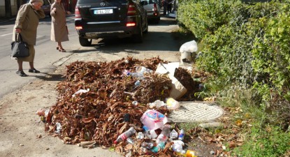 Mizeriile Constanței - b9f6cb31a61a9736b849b584d6be6bf0.jpg