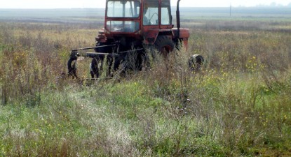 30% din suprafața agricolă din România a rămas necultivată - baf7385491664fb442ae358bc48fa7ac.jpg