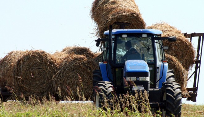 Cum și-au câștigat parlamentarii constănțeni primii bani - balotipaierecolta2008tractorcamp-1309363481.jpg