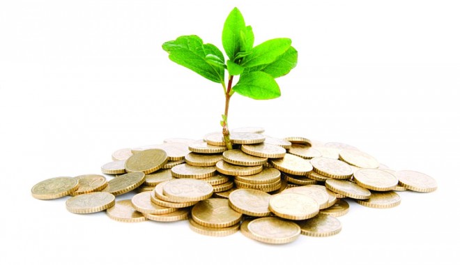 Cinci miliarde de euro din fondurile europene pe dezvoltare rurală au ajuns la români - baniptagricultura-1373464316.jpg
