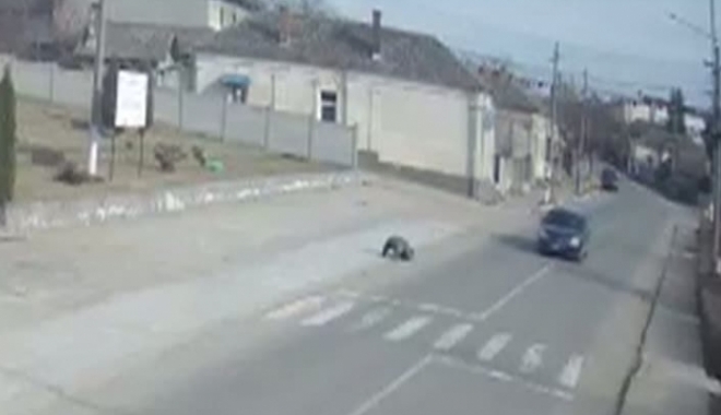 Scene cutremurătoare. Un bărbat căruia i s-a făcut rău, lăsat să zacă pe trotuar - barbat05776300-1488611669.jpg