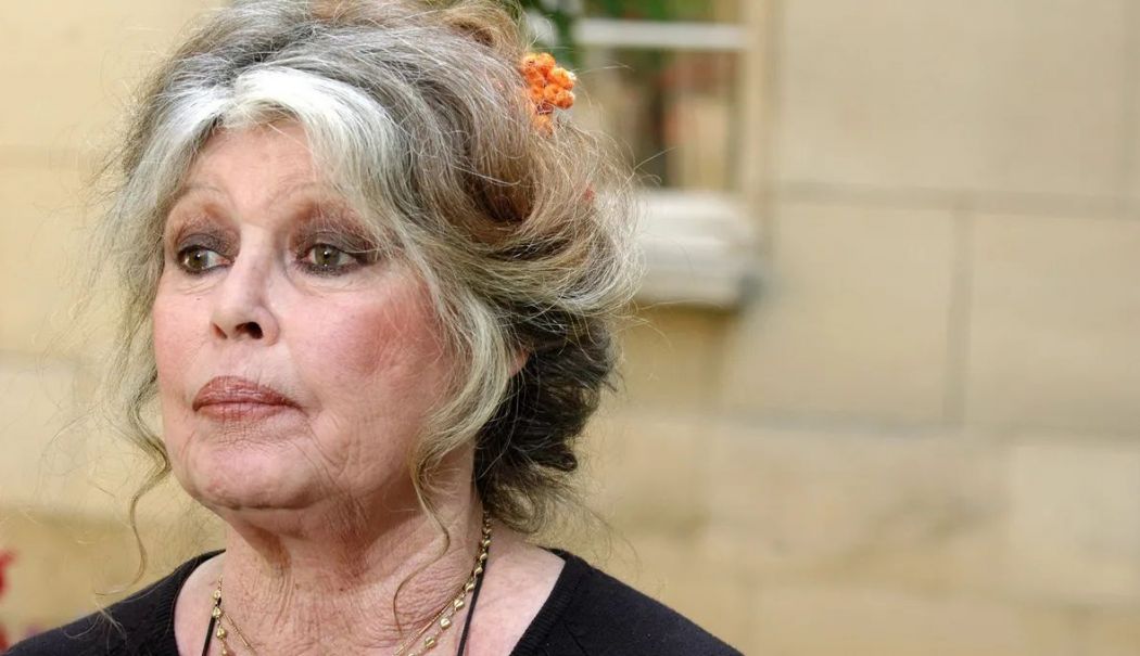 Brigitte Bardot internată în spital de câteva săptămâni - bardo-1760687953.jpg