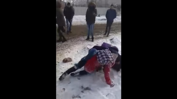 VIDEO. BĂTAIE CU PUMNI ȘI PICIOARE, ÎNTRE DOUĂ ELEVE, CHIAR ÎN FAȚA ȘCOLII - bataieeleve51220500-1485684798.jpg