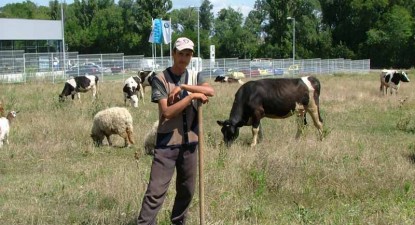 Trei milioane de fermieri ar putea fi declarați evazioniști - bb1f80b6600de5b8d4e49f7b14d694c7.jpg