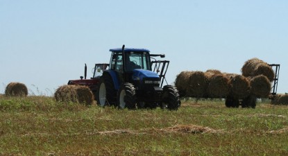 Țăranii constănțeni trăiesc cel mai bine de pe urma rentei viagere - bcbb55d67fb8fc8cdbd446919fdcffdf.jpg